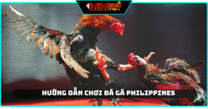 da-ga-philippines