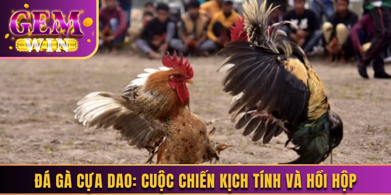 da-ga-truc-tiep-cua-dao