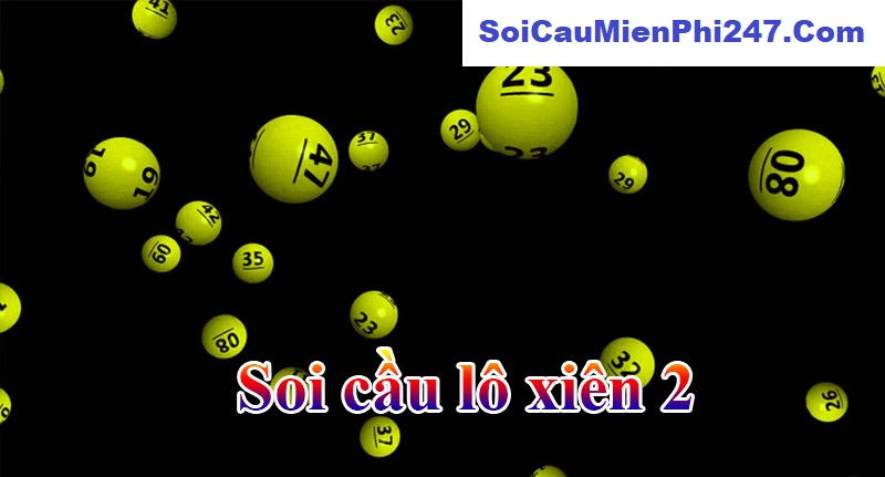 soi-cau-xien-2-rong-bach-kim-8899